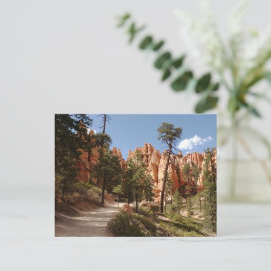 Carte Postale Parc national Bryce Canyon Trail (Debout devant)