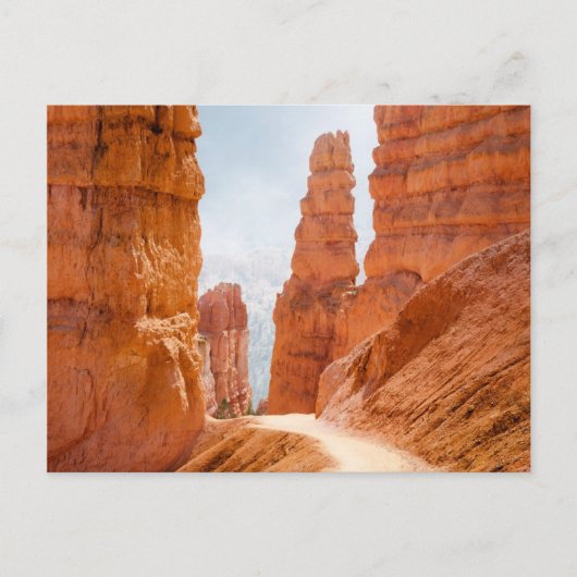 Carte Postale Parc national Bryce Canyon Trail (Devant)