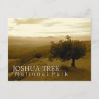 Parc national d'arbre de Joshua