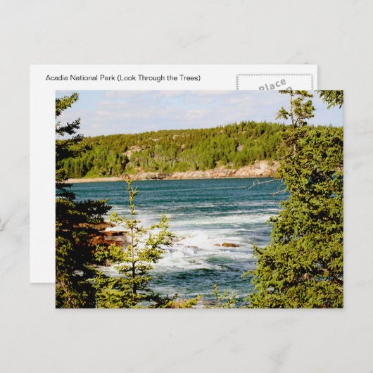 Carte Postale Parc national d'Arcadia à travers les arbres (Devant / Derrière)