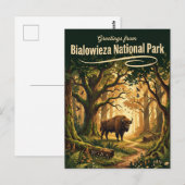 Carte Postale Parc national de Bialowieza Pologne (Devant / Derrière)