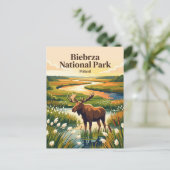 Carte Postale Parc national de Biebrza Pologne (Debout devant)