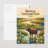 Carte Postale Parc national de Biebrza Pologne (Devant / Derrière)