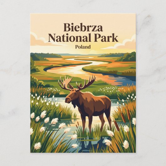 Carte Postale Parc national de Biebrza Pologne (Devant)