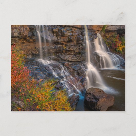 Carte Postale Parc national de Blackwater Falls | Virginie occid (Devant)