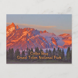 Carte Postale Parc national de Colter Bay Grand Teton