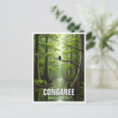 Carte Postale Parc national de Congaree Caroline du Sud Voyage (Debout devant)