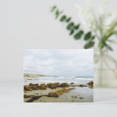 Carte Postale Parc national de Crystal Cove (Debout devant)