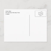 Carte Postale Parc national de Dry Tortugas, Coral Reef (Dos)