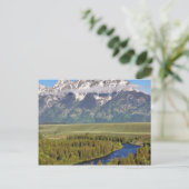 Carte Postale Parc national de Grand Teton 3 (Debout devant)
