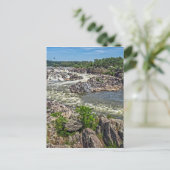 Carte Postale Parc national de Great Falls (Debout devant)