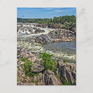 Carte Postale Parc national de Great Falls