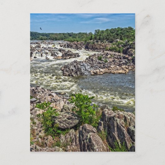 Carte Postale Parc national de Great Falls (Devant)