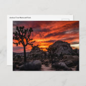Carte Postale Parc national de Joshua Tree au coucher du soleil (Devant / Derrière)