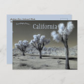 Carte Postale Parc national de Joshua Tree Californie (Devant / Derrière)