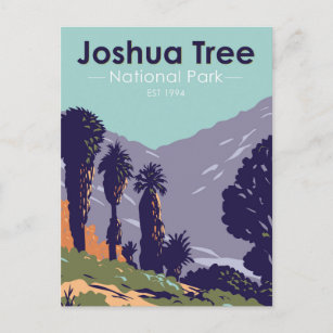 Carte Postale Parc national de Joshua Tree Cottonwood Springs Oa