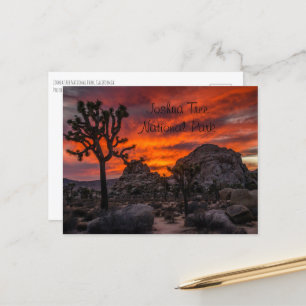 Carte Postale Parc national de Joshua Tree Coucher de soleil rou