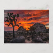 Carte Postale Parc national de Joshua Tree Coucher de soleil rou (Devant)