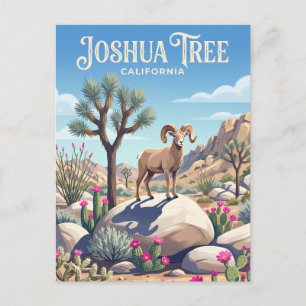 Carte Postale Parc national de Joshua Tree États-Unis