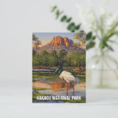 Carte Postale Parc national de Kakadu Australie (Debout devant)