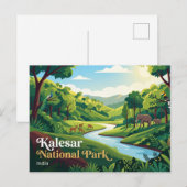 Carte Postale Parc national de Kalesar Inde (Devant / Derrière)