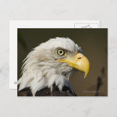 Carte Postale Parc national de Katmai, Alaska (Devant / Derrière)