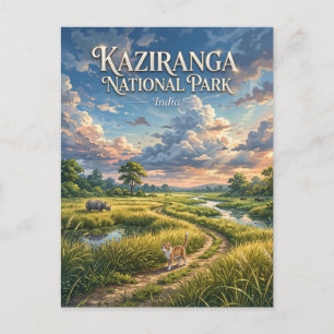Carte Postale Parc national de Kaziranga Inde