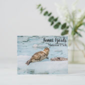 Carte Postale Parc national de Kenai Fjords (Debout devant)