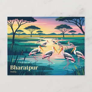 Carte Postale Parc national de Keoladeo Inde