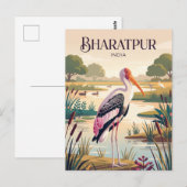 Carte Postale Parc national de Keoladeo Inde (Devant / Derrière)