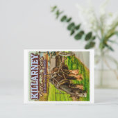 CARTE POSTALE PARC NATIONAL DE KILLARNEY - IRLANDE DE KILLARNEY (Debout devant)