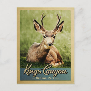 Carte Postale Parc national de Kings Canyon Deer Vintage