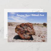 Carte Postale Parc national de la Forêt Petrifiée (Devant / Derrière)