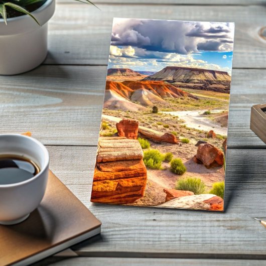 Carte Postale Parc national de la Forêt Petrifiée, Désert Peint