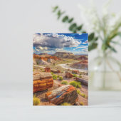 Carte Postale Parc national de la Forêt Petrifiée, Désert Peint (Debout devant)