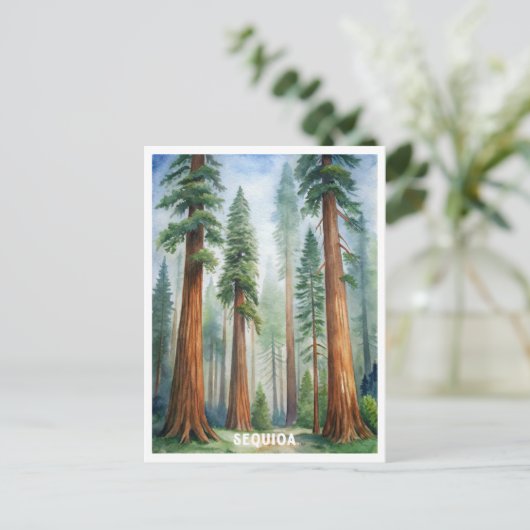 Carte Postale Parc national de la Sequoia (Debout devant)