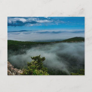 Carte Postale Parc national de l'Acadie en été, Maine