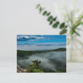 Carte Postale Parc national de l'Acadie en été, Maine (Debout devant)