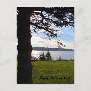 Carte Postale Parc national de l'Acadie, Maine
