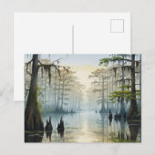 Carte Postale Parc national de Misty Congaree Caroline du Sud (Devant / Derrière)