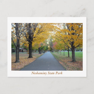 Carte Postale Parc national de Neshaminy en automne