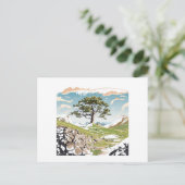 Carte Postale Parc national de Northumberland Sycamore Gap Tree (Debout devant)