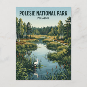 Carte Postale Parc national de Polésie Pologne