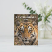 Carte Postale Parc national de Ranthambore Inde (Debout devant)