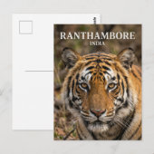 Carte Postale Parc national de Ranthambore Inde (Devant / Derrière)