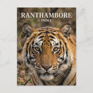 Carte Postale Parc national de Ranthambore Inde