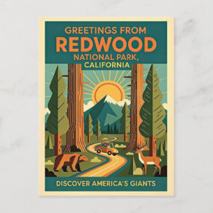 Carte Postale Parc national de Redwood en Californie Rétro 1930s