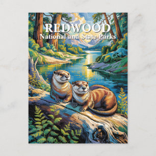 Carte Postale Parc national de Redwood Loutres Van Gogh moderne