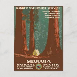 Carte Postale Parc national de Sequoia