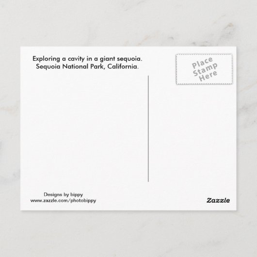 Carte Postale Parc national de Sequoia (Dos)
